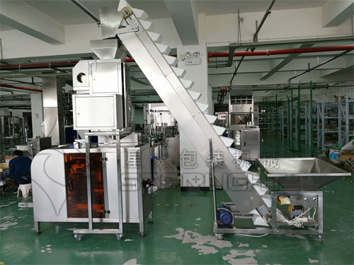 星火瓜子食品顆粒包裝機械設備展示